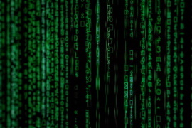 Cyber Crime